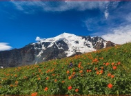 Алтай, Белуха, Аккемское озеро, природа алтая