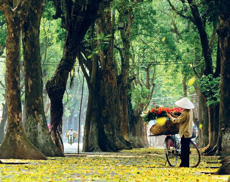 вьетнам, путешествие по вьетнаму